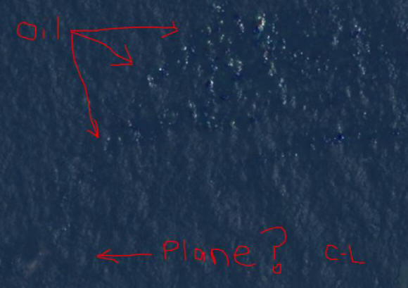 Manjkajoči Boeing je morda našel vdovo Kurta Cobaina.