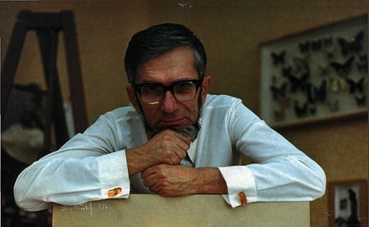 Manjkajoča gravitacijska ravnina znanstvenika Grebennikov