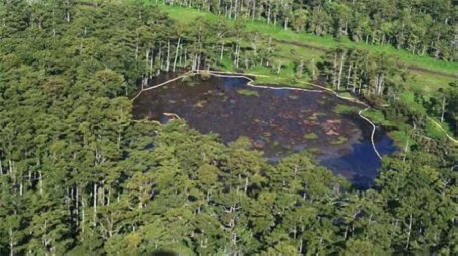 Opadanje zemlje v Louisiani postaja grozeče.