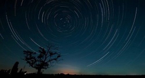 Ptice v nekaj dneh začutijo, kako se nevihta približuje. Kako?