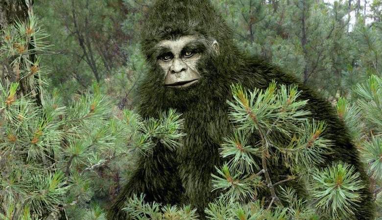 Snežni mož se je prestrašil Tatarstanovcev.