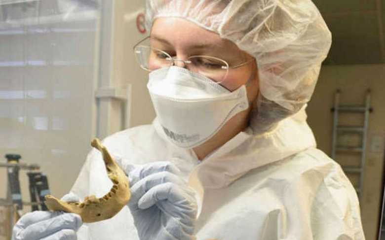 Dešifriranje genoma egiptovskih mumij je presenetilo znanstvenike