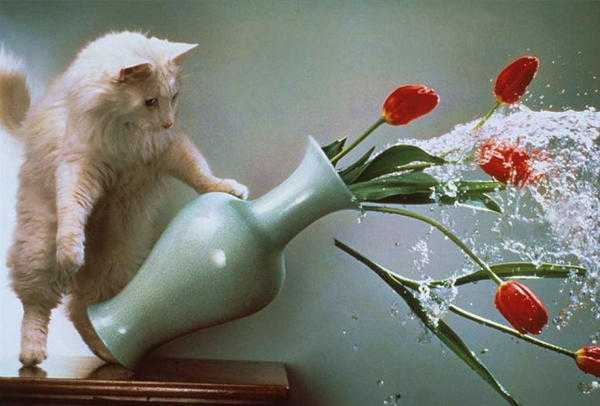 Razbije na majhne ali velike koščke 