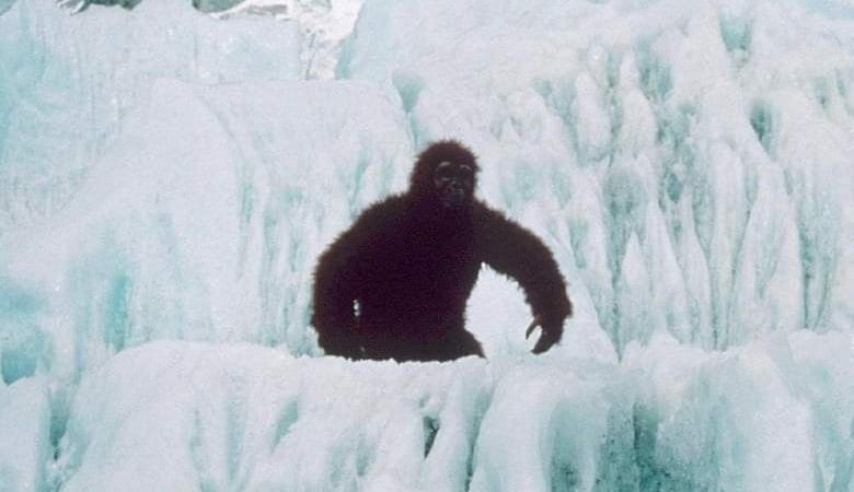 Bigfoot hoja v Oregonu hit video