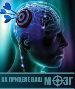 Razvoj desne poloble možganov