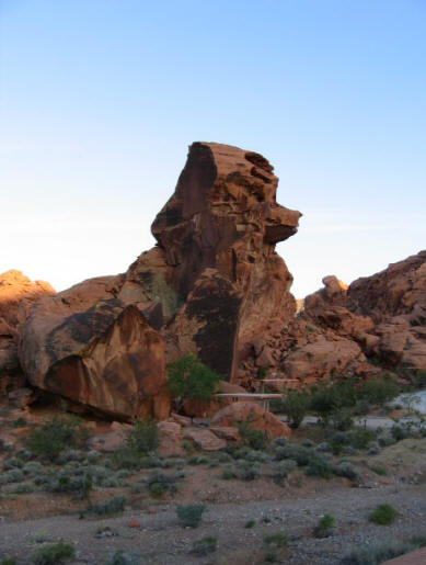 Reptilijsko bitje je prestrašilo kolesarje v puščavi Sonora