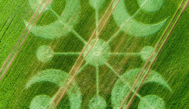 Risbe na poljih: v Angliji se je pojavilo novo sporočilo iz drugih svetov.