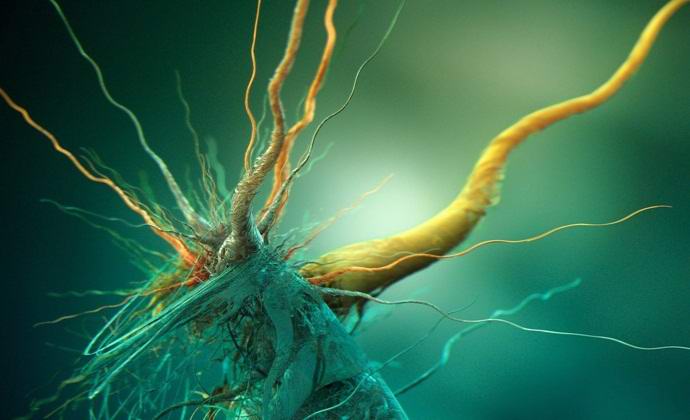 Ruski znanstveniki so na Antarktiki odkrili tujerodne mikroorganizme.