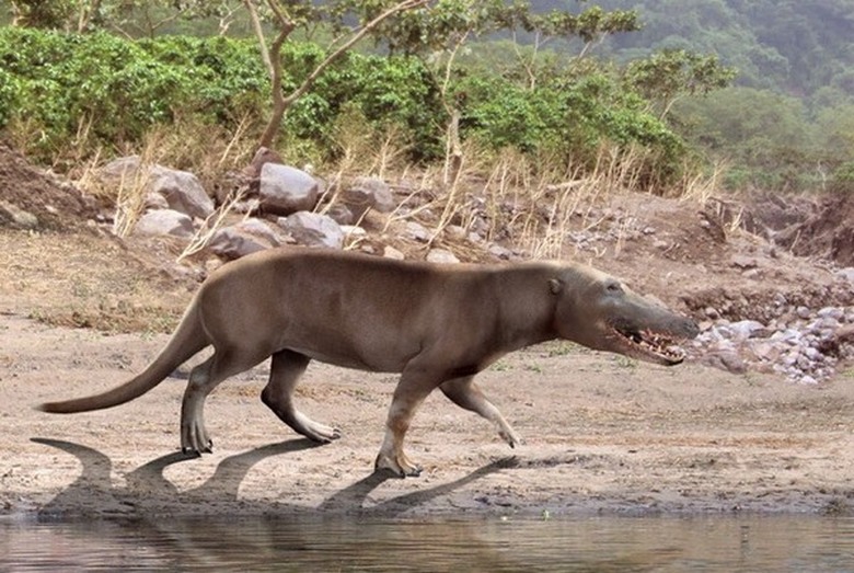 Ruski znanstveniki so prebudili bitja, stara več kot 40 tisoč let.