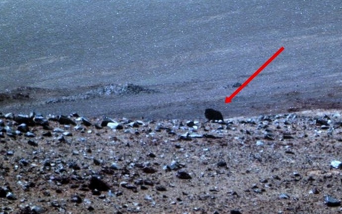 NASA Rover ustrelil žival na Marsu