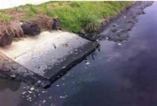 Največja reka v kitajskem mestu Shenzhen je postala črna