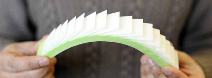 Najboljši oklep so ribje luske!