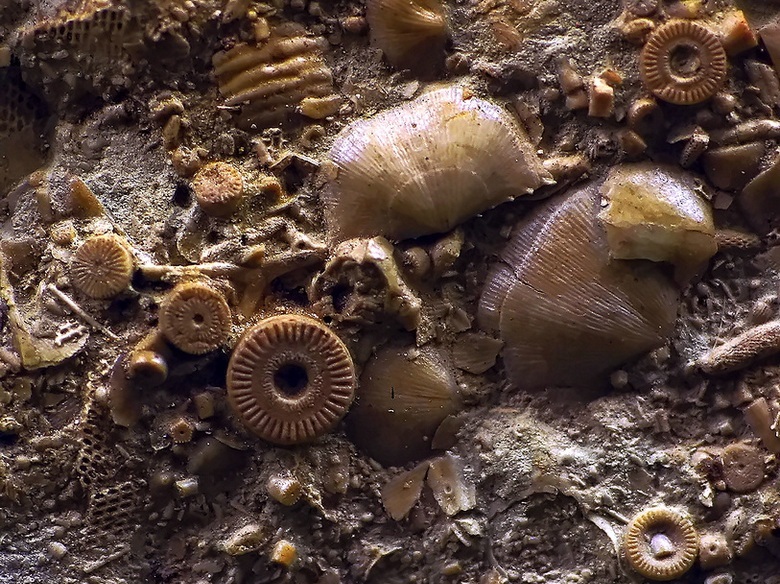 Najbolj fantastični artefakti izginejo brez sledu