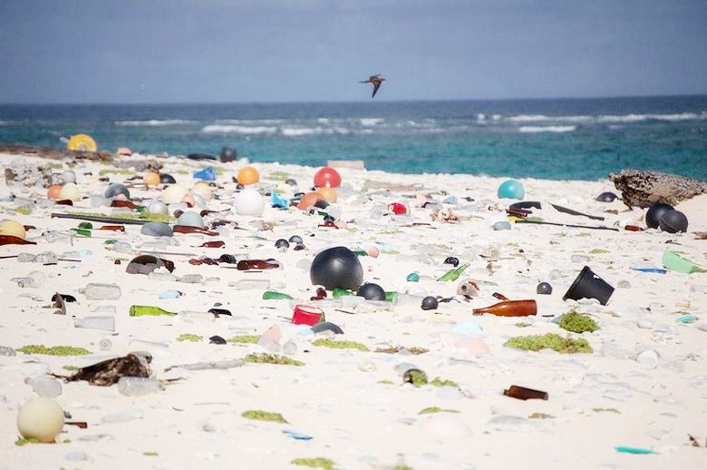 Najbolj onesnažen plastični otok na svetu - Unescova svetovna dediščina
