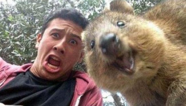 Selfie video - sodobna vrsta diagnoze zdravstvenega stanja