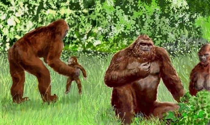 Družina snežakov je padla v objektiv kamere