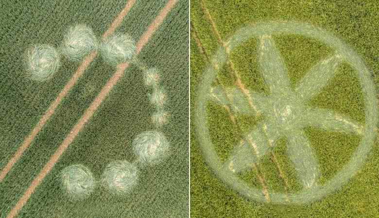 Sezona je odprta: v Angliji se aktivno pojavljajo novi krogi pridelkov