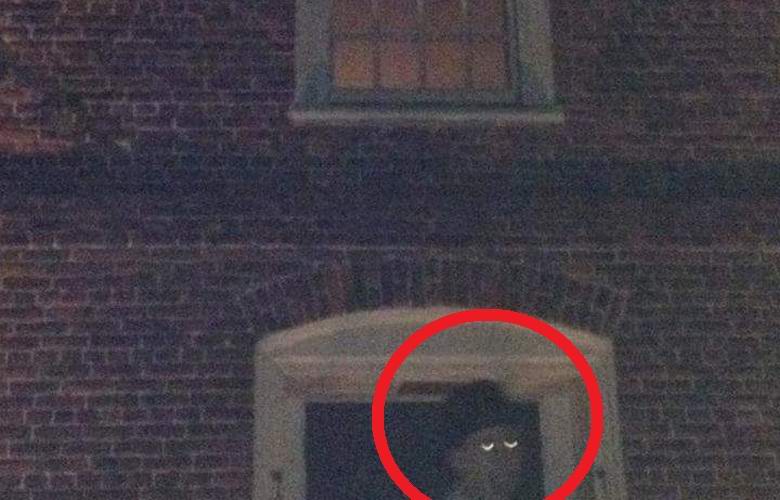 Moški s čudnimi očmi se je fotografiral