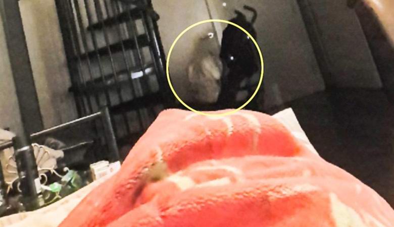 Fotografiral ga je zlobni fantom, ki je sedel na tleh stanovanja.