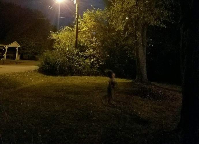 Fotografiral čudno bitje