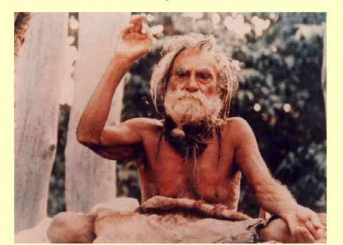 umetnost, življenje, zvezdniki, stoletnice, Noah, Peng Zhu, Devraha Baba, Li Lingyuan, Henry Jenkins, Sarah