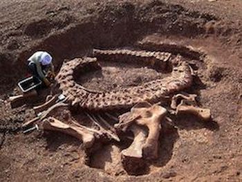 Škotski paleontologi so v muzeju našli ostanke starodavne pošasti ...
