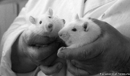 Sibirski znanstveniki testirali na sebi