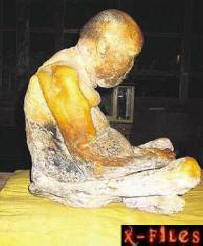 Sibirski čudež nepokvarljivega telesa