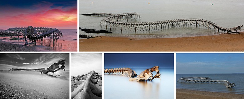 Okostnjak 130-metrske kače