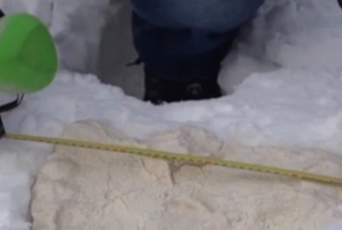 Sledi vzporednih svetov