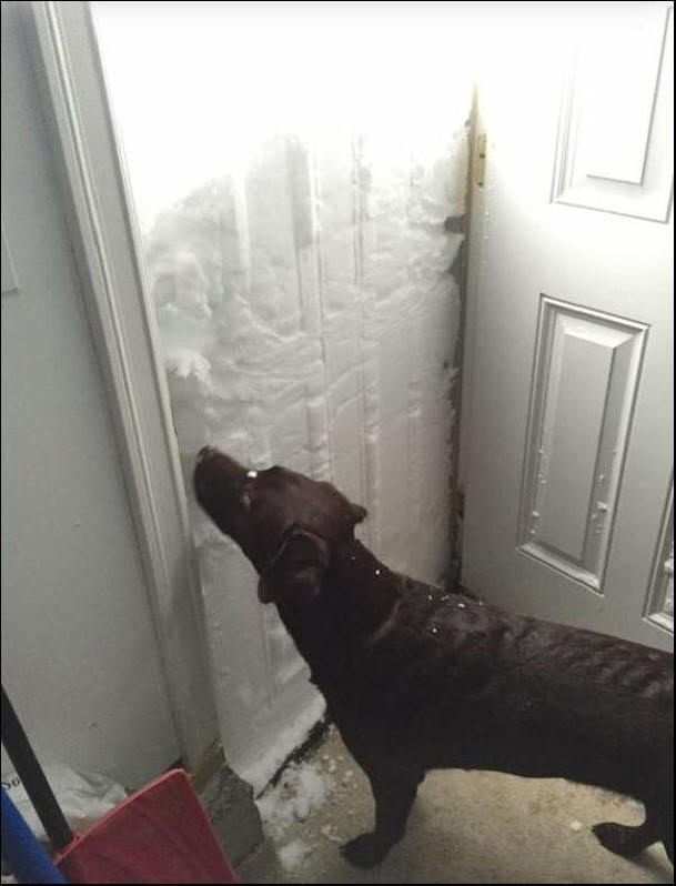 Ameriška snežna nevihta, nevihta