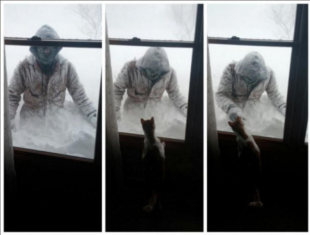 Ameriška snežna nevihta, nevihta