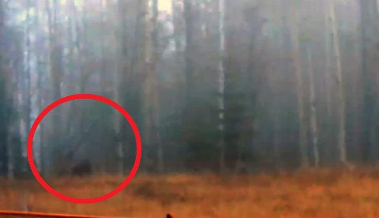 Snežni mož je vrgel hlod v gozd