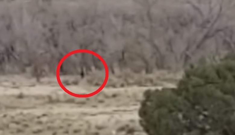 Bigfoot je zadel videoposnetek na indijanski rezervaciji