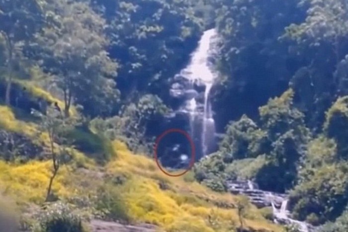 Bigfoot v indonezijski džungli