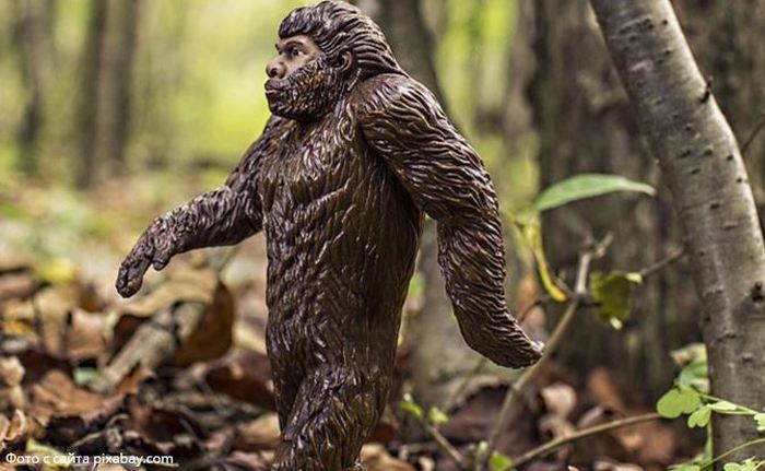 Bigfoot so naenkrat opazili na dveh mestih v Rusiji.