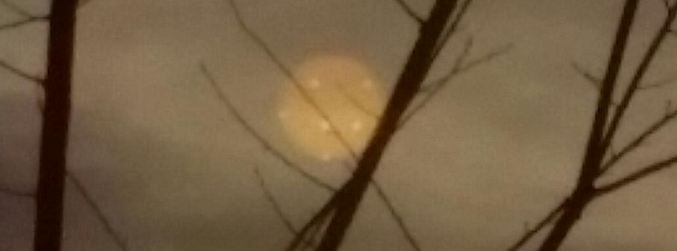 Nasini uslužbenci so ga samo mahnili