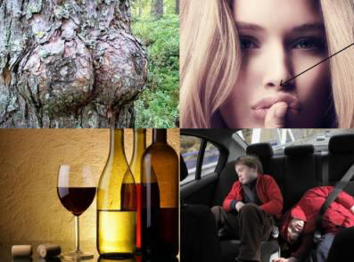 Stavim, da niste vedeli 20 besed, ki jih niste slišali.