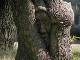 Stavim, da niste vedeli. Zakaj trkamo po lesu.