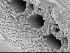 Stekla ni mogoče kmalu razbiti.