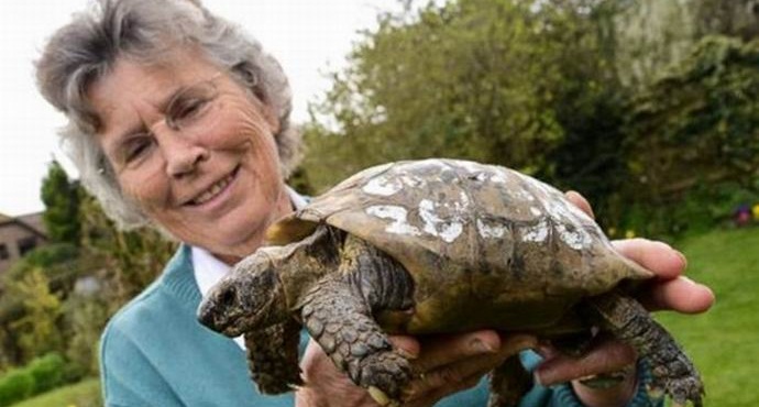 Večletna želva se je po dolgih potepanju vrnila domov