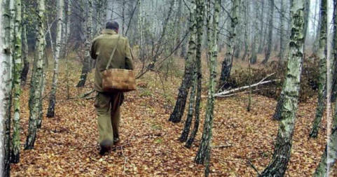 Čuden primer z nabiralcem gob