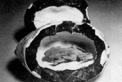 Bitja iz drugih časov