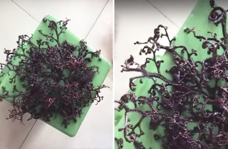 Stvar neznanega izvora najdena v Vietnamu.