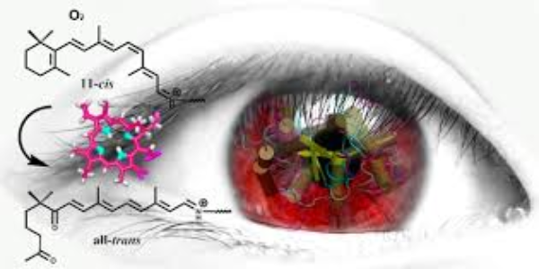 Obstaja zdravljenje raka, ki ljudem daje 