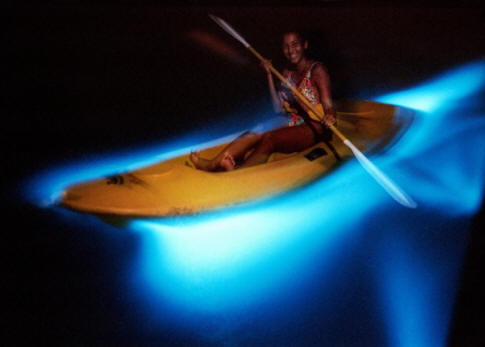 Sijaj in brez nohtov