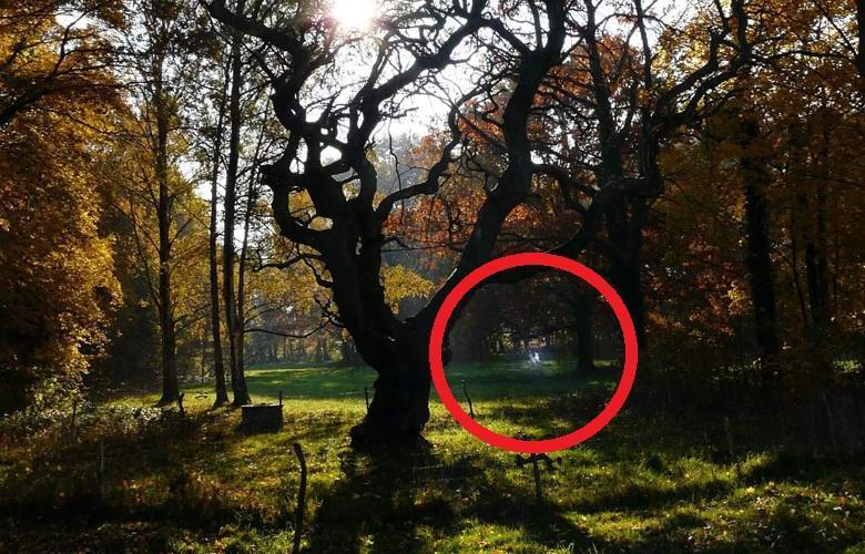 Žareči duhovi otrok, ki se igrajo v parku