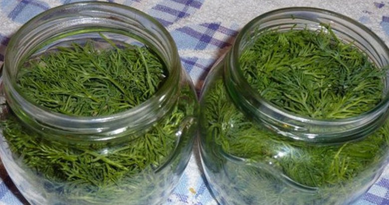 Svež koper lahko hranimo v hladilniku več mesecev.