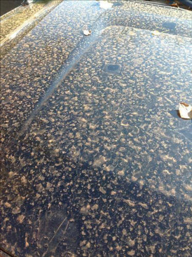 Ogled slike na Twitterju