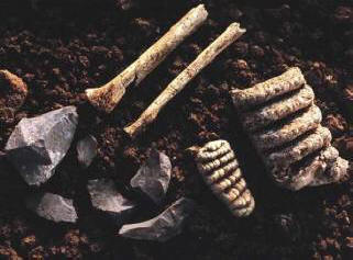 Skrivnost izginulega plemena Nittaevo